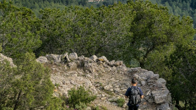 BTT Vandellós - Coll Roig