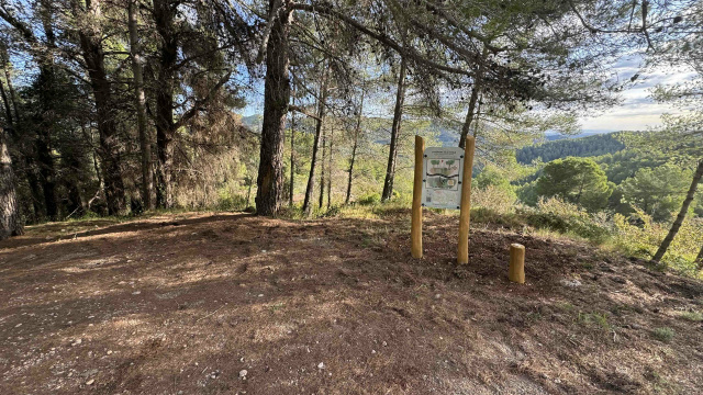 Estació 5: Petita (Vandellòs)