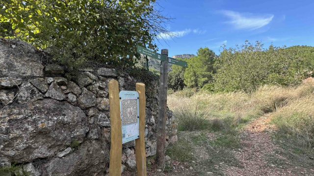 PRATDIP - L’AVENTURA DELS DIPS